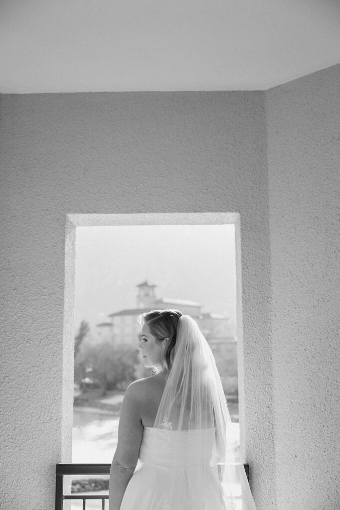 Taylor & nicholas wedding previews